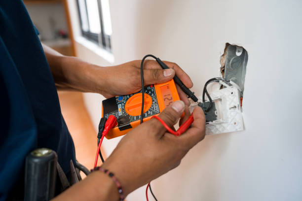 Best Electric Panel Repair  in Boscobel, WI